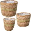 SET 3 MACETEROS MIMBRE NATURAL/VERDE